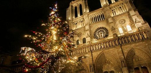 Paříž dostala vánoční stromek od ruské vlády