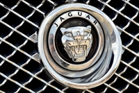 Jaguar, logo. 