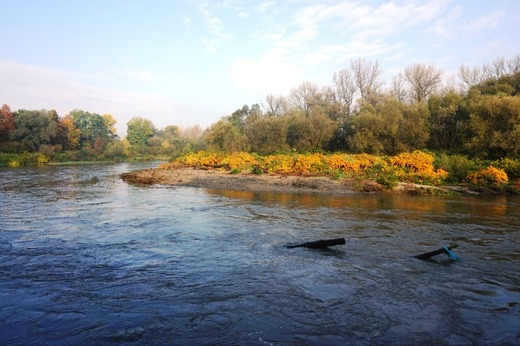 Meandry řeky Odry.