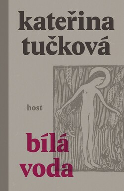 Literárním bestsellerem roku je Bílá voda Kateřiny Tučkové.